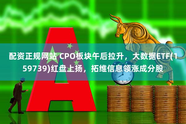 配资正规网站 CPO板块午后拉升，大数据ETF(159739)红盘上扬，拓维信息领涨成分股