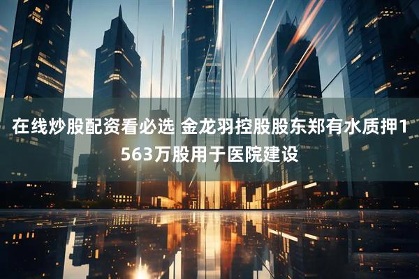 在线炒股配资看必选 金龙羽控股股东郑有水质押1563万股用于医院建设