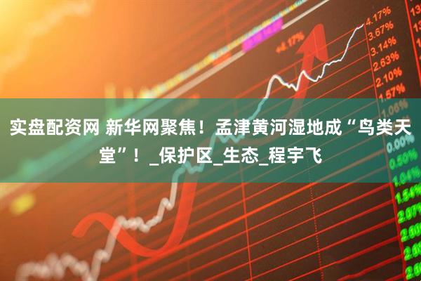 实盘配资网 新华网聚焦！孟津黄河湿地成“鸟类天堂”！_保护区_生态_程宇飞