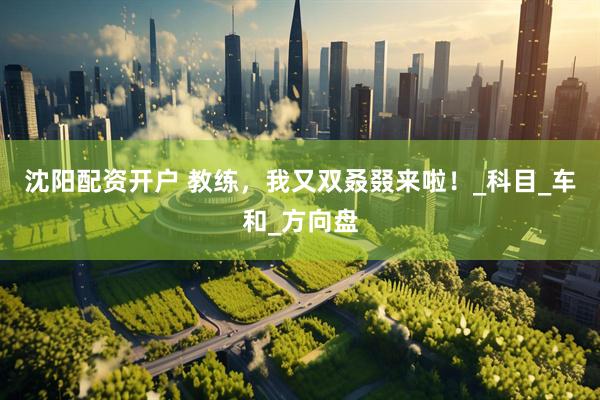 沈阳配资开户 教练，我又双叒叕来啦！_科目_车和_方向盘