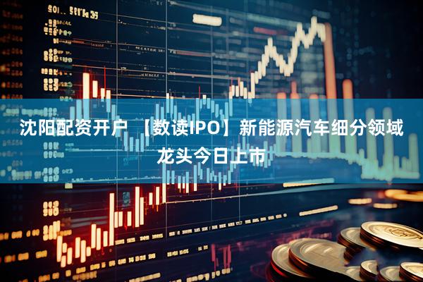 沈阳配资开户 【数读IPO】新能源汽车细分领域龙头今日上市
