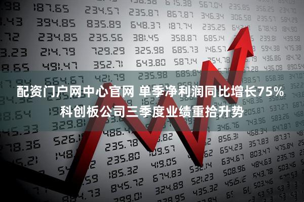 配资门户网中心官网 单季净利润同比增长75% 科创板公司三季度业绩重拾升势
