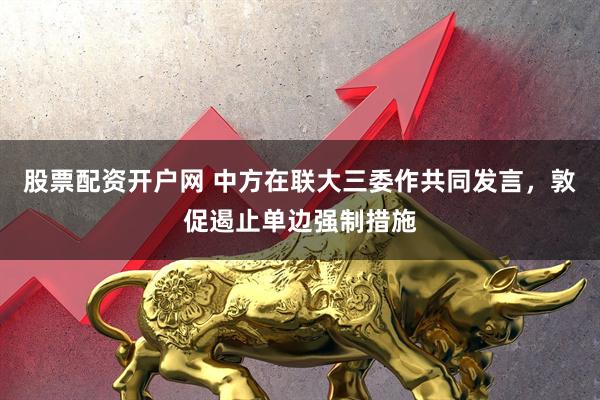 股票配资开户网 中方在联大三委作共同发言，敦促遏止单边强制措施